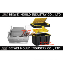 High Quality Plastic Tool Box Mold